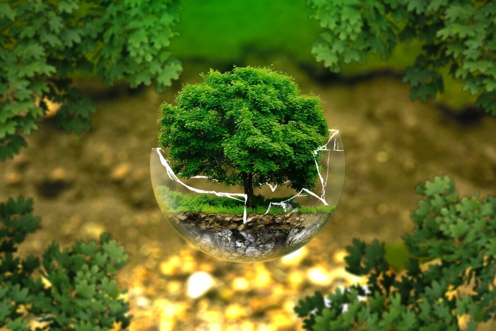 environmental protection, natural reserve, ecology, eco, bio, glass sphere, forest, green, organic, life, earth, grow, trees, tree protection, forest dieback, biology, ecological balance, environmental pollution, fragile, sensitive, bonsai, deciduous tree, leaves, tree die, environment, the atmosphere, surreal, nature, forests, green good, forest, green, life, life, earth, earth, earth, earth, earth, environment, environment, environment, nature